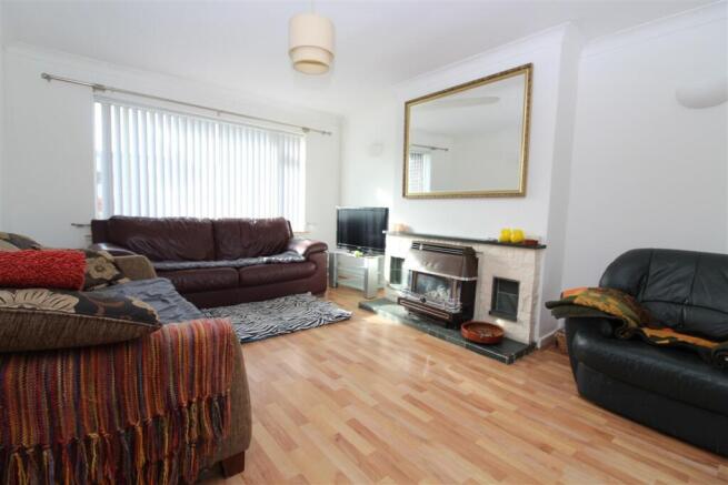 IMG 4682  Medium  T202503071301.jpg