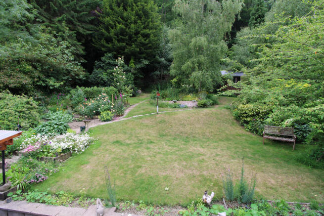 Garden from bed 1