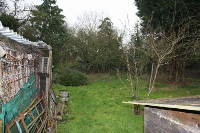 Orchard