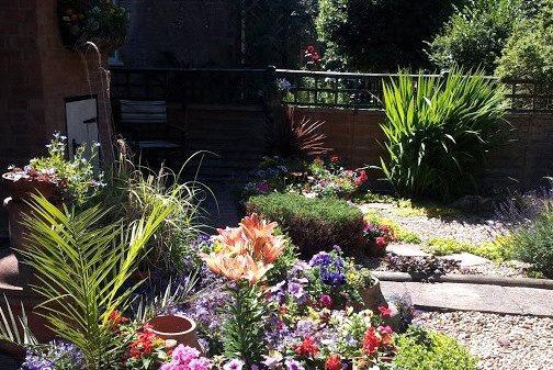 Summer Garden 1