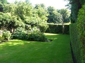 Rear Garden 2