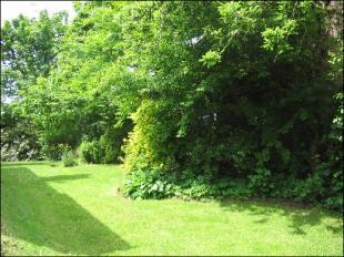 Side Garden