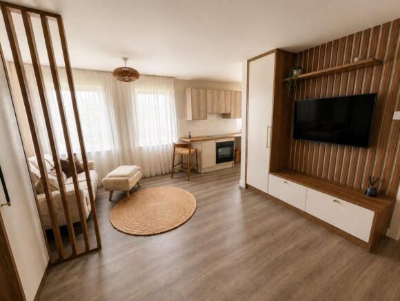 Open plan living / sleeping area