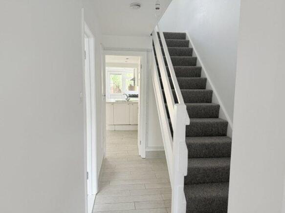 Image1
