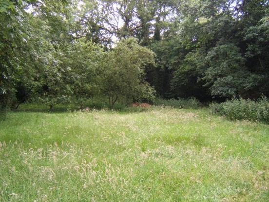 Garden 1