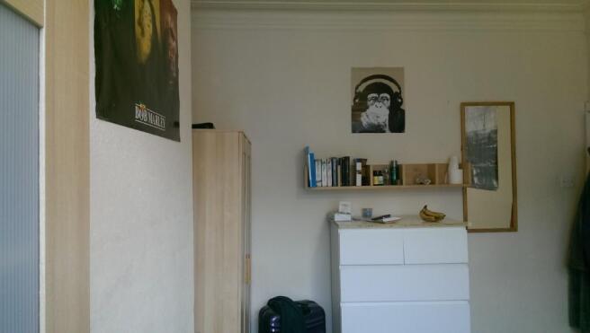Photo 5