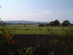 View From Garden