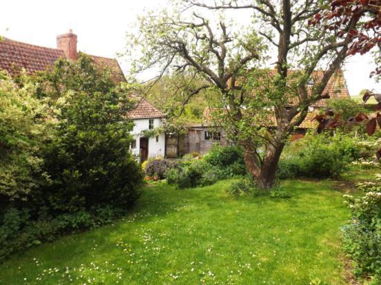 Further Rear Garden
