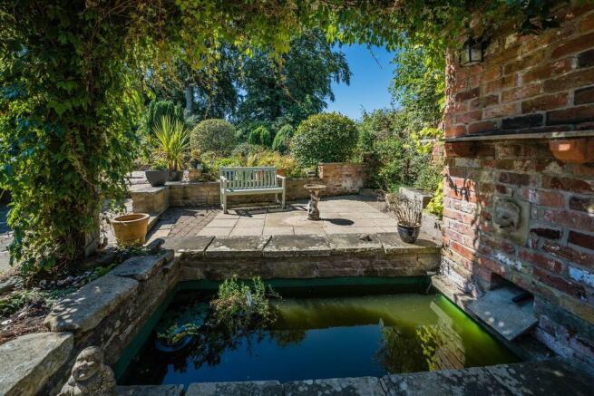 Pond and Patio