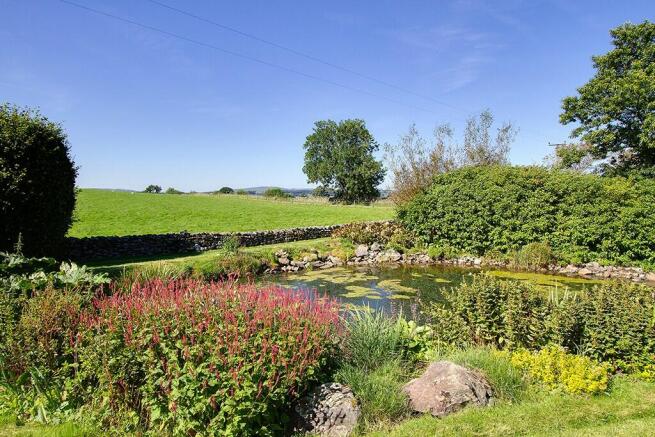 Wildlife pond
