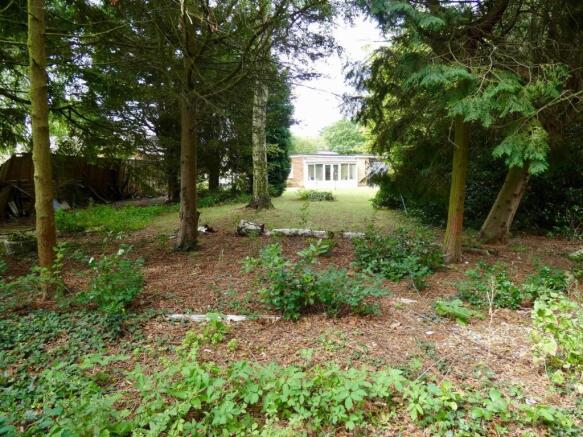 From bottom of the garden