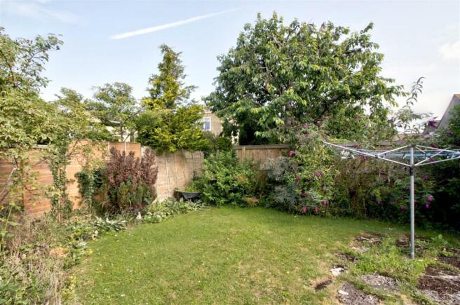 Rear garden 2