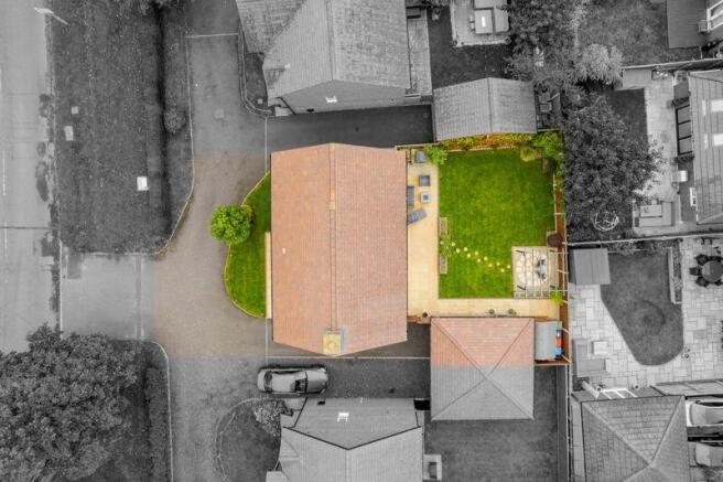 Plot Size