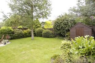Garden Photo 1