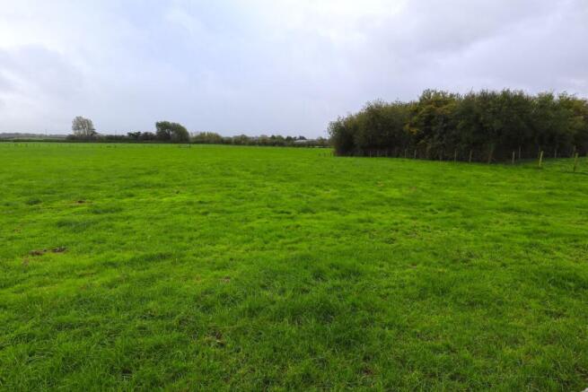 4.25 Acres Meadowland