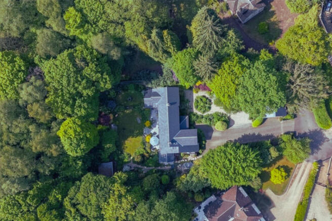 Overhead View