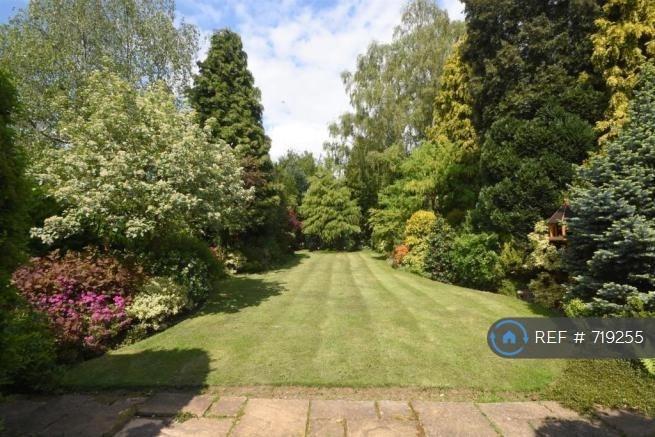 Garden View From Kitchen