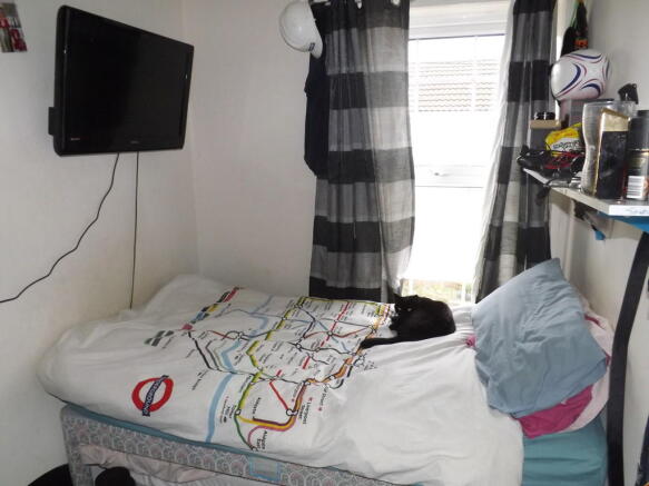 Photo 11