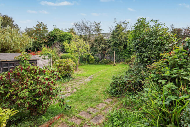 garden.JPG