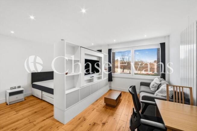 Living/Sleeping Area