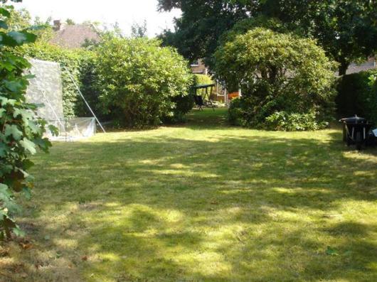 Rear half of garden