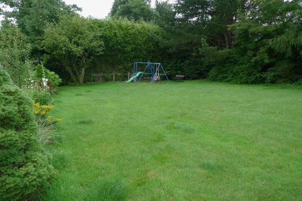 Additional Garden Pictures