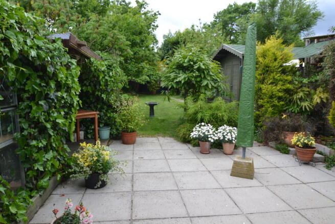 Photo 15