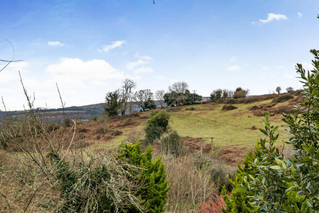 View from House