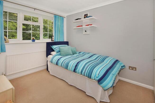Photo 15