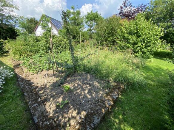 garden 3.JPG
