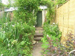 Photo 7