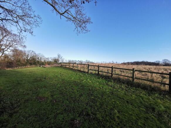field
