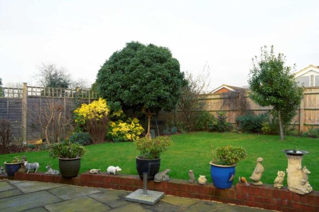 Photo 10