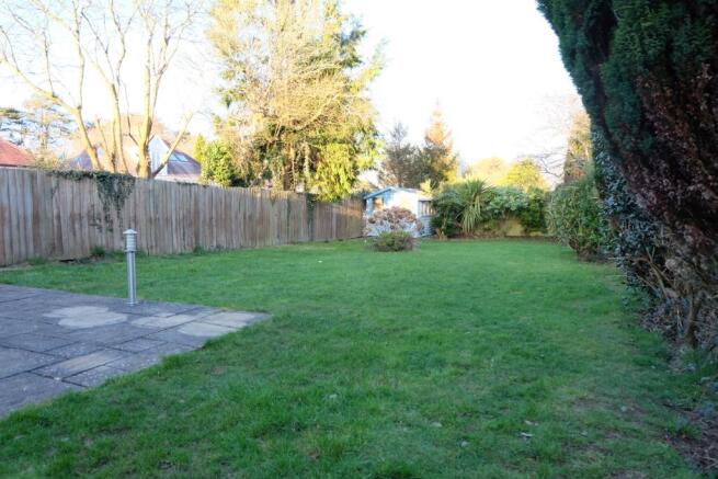 Photo 10