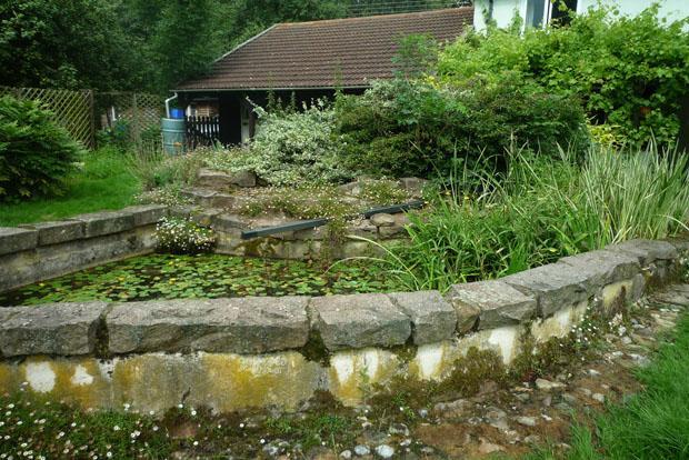 Pond