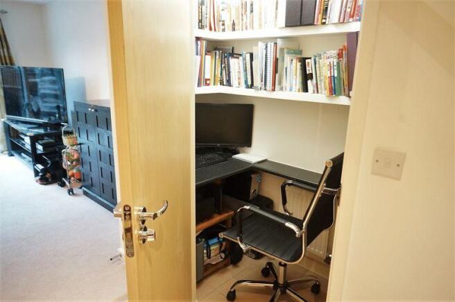 Study Area