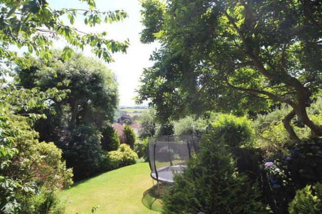 Rear Gardens