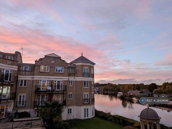 Views From The Terrace