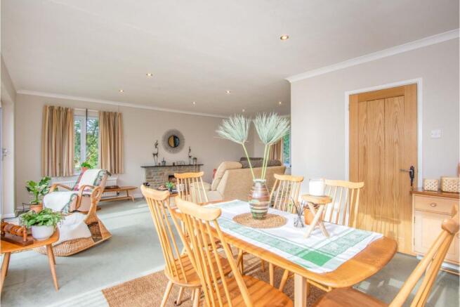 Living / Dining Room