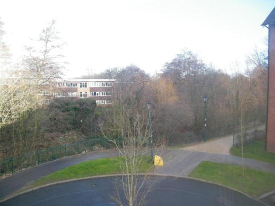 External View
