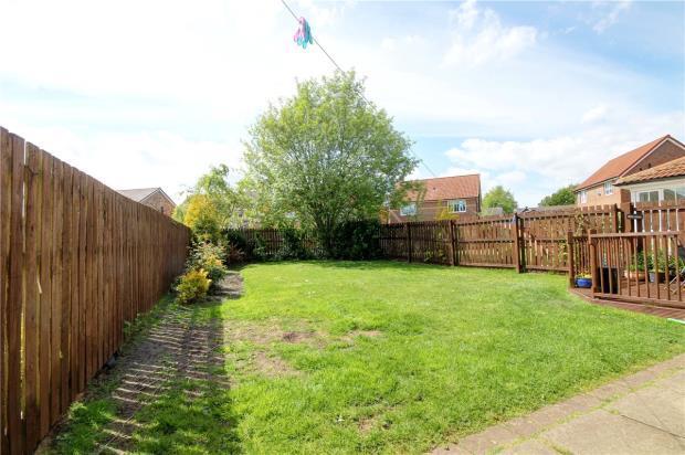 Garden 2
