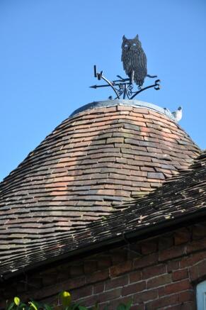 Image 0321