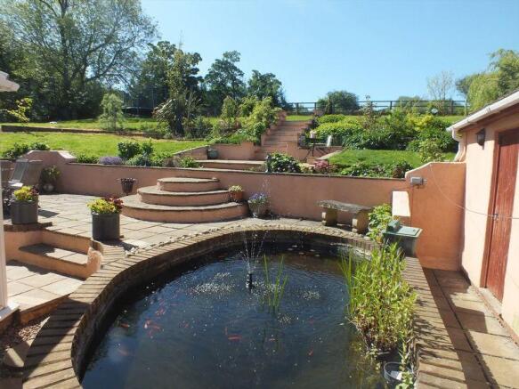 Pond and patio