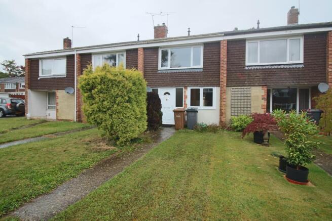 IMG_3553