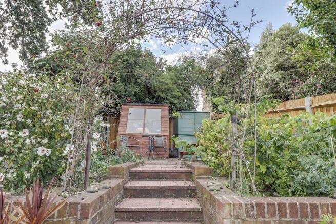 Garden at Back