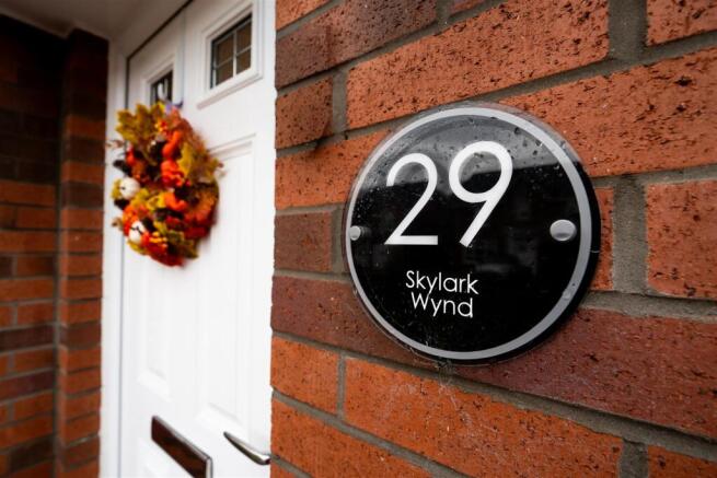 entry-1.jpg