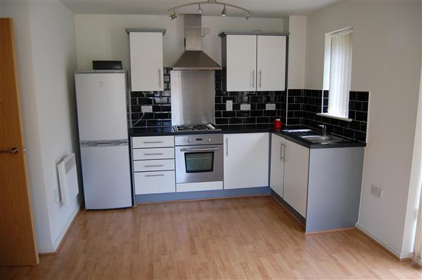 Designer Kitchen