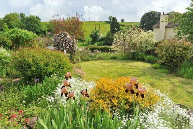Cottage Garden