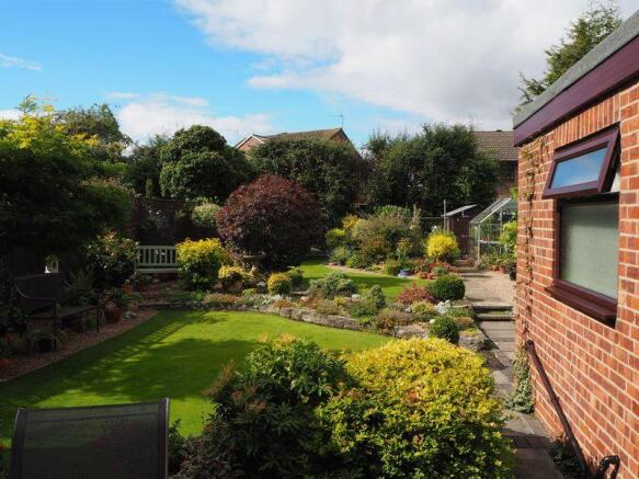 Rear Gardens 
