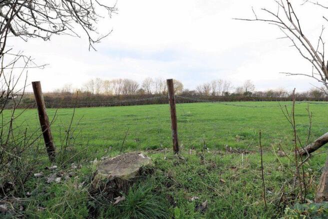 field view